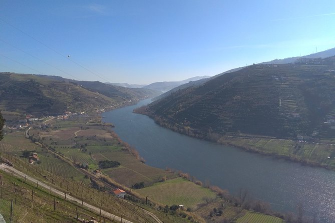 Douro Valley Tour: Wine Tasting River Cruise and Lunch from Porto - The farm visit and Douro wine tasting