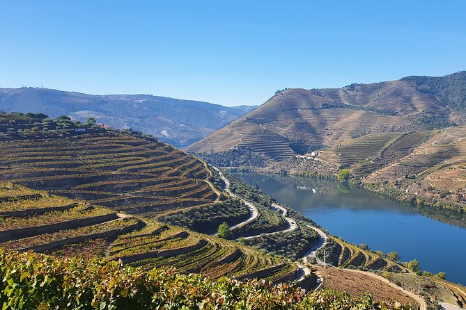 Douro Valley Tour: Wine Tasting River Cruise and Lunch from Porto - Lunch with local dishes and plenty of food