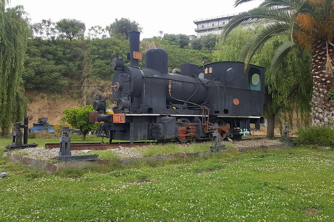 Douro Valley Tour: Wine Tasting River Cruise and Lunch from Porto - Guide quality can make or break the day