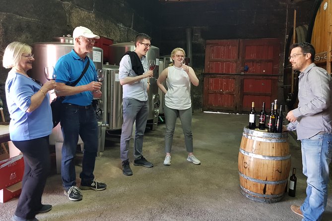 Douro Valley Wine Tour: 3 Vineyard Visits, Wine Tastings, Lunch - Pinhão views and a late vineyard lunch