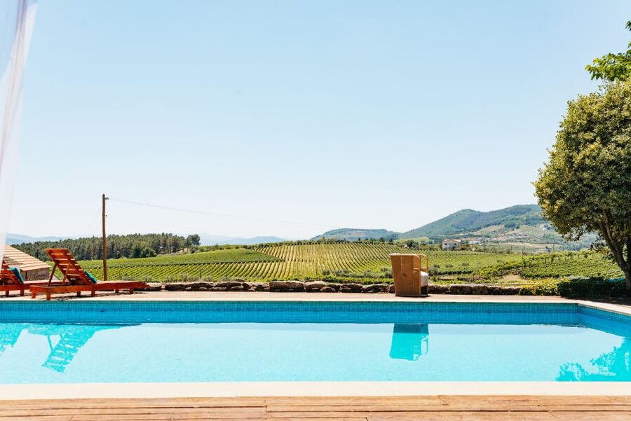 Douro Valley: Wine Tour with Lunch, Tastings & River Cruise - A calm one-hour cruise on the Douro