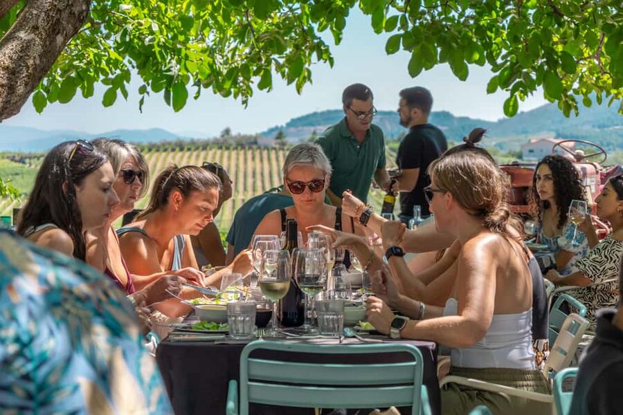 Douro Valley: Wine Tour with Lunch, Tastings & River Cruise - The second estate shows another side of Port