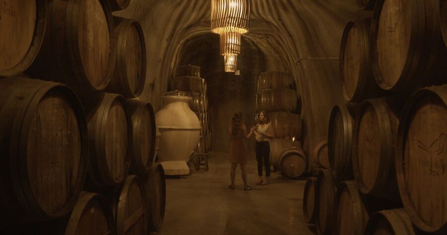 Douro Valley: Winery Tour at Quinta do Tedo and Tastings - Five minutes for shopping, not an afternoon in the shop