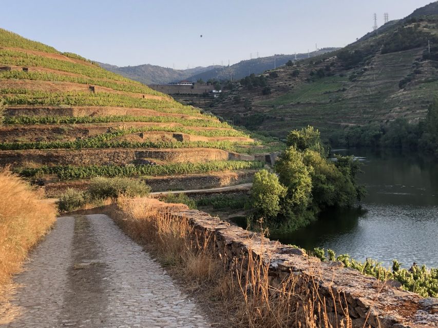 Douro Valley: Winery Tour at Quinta do Tedo and Tastings - Who will get the most from this winery visit?
