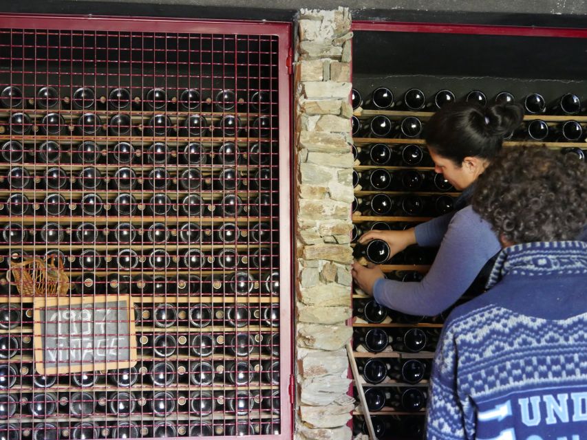 Douro Valley: Winery Tour at Quinta do Tedo and Tastings - Should you book Quinta do Tedo?