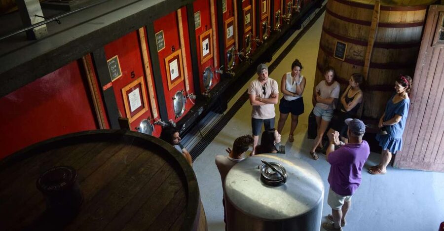 Douro Valley: Winery Tour at Quinta do Tedo and Tastings - The 35-minute tour, from vines to old cellars
