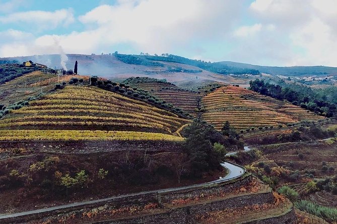 Douro Valley with Two Winery, Boat Trip and Lunch From Porto - Key details that shape the day