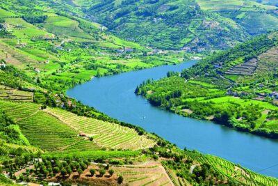 Douro Valley with Two Winery, Boat Trip and Lunch From Porto