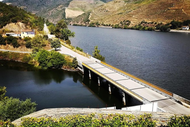 Douro Valley with Two Winery, Boat Trip and Lunch From Porto - A gentle cruise from Pinhão