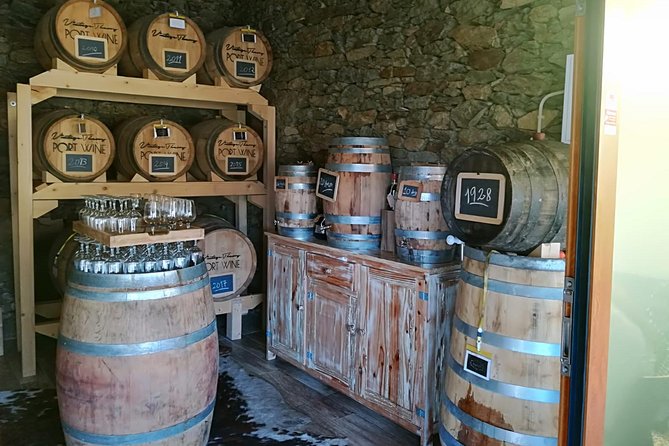 Douro Valley with Two Winery, Boat Trip and Lunch From Porto - The smaller producer and olive oil tasting