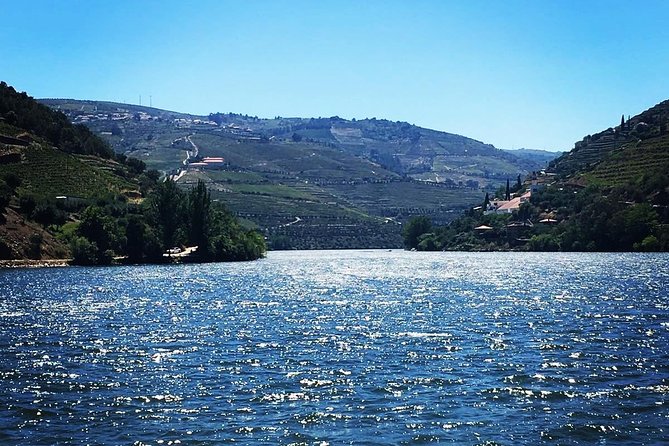 Douro Valley with Two Winery, Boat Trip and Lunch From Porto - Guides make the difference