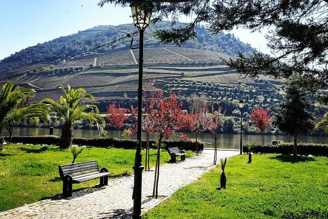 Douro Valley with Two Winery, Boat Trip and Lunch From Porto - Is $154.19 a fair price?
