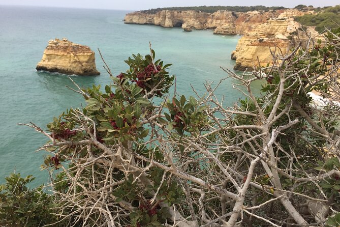 E-Bike Tour: Sete Vales Suspensos Trail (Marinha and Benagil) - Reaching Praia de Benagil and Algar de Benagil