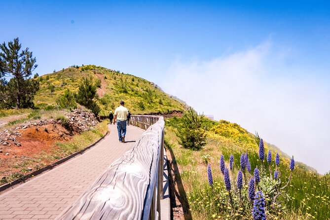 East of Madeira | Full Day 4x4 Tour - Santana and an A-frame house