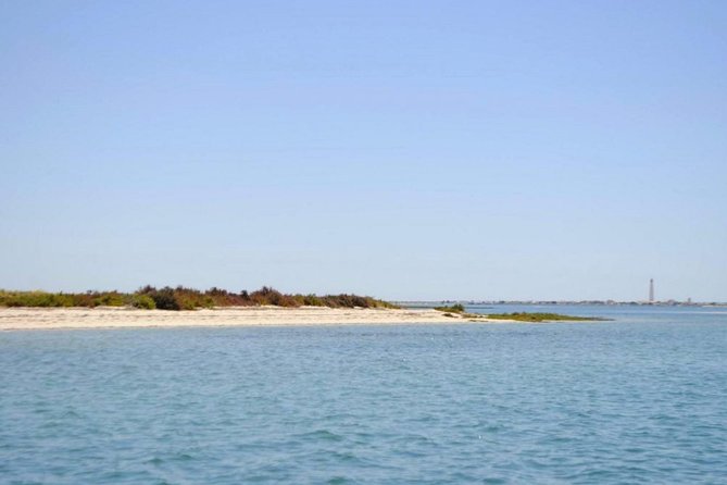 Eco Boat Tour in the Ria Formosa Lagoon from Faro - The value of the guide, from Luis to André