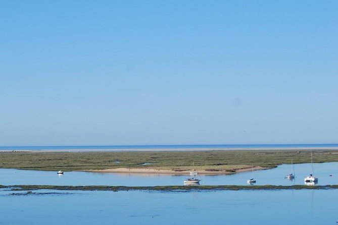 Eco Boat Tour in the Ria Formosa Lagoon from Faro - What you may see, and why expectations matter