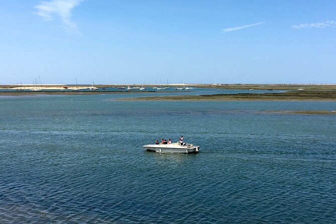 Eco Boat Tour in the Ria Formosa Lagoon from Faro - Who should take this Faro eco boat tour?