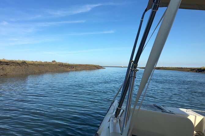 Eco Boat Tour in the Ria Formosa Lagoon from Faro - Starting at Faro’s Nautical Club