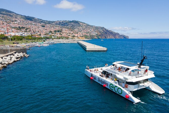 Eco-Friendly Catamaran Dolphin and Whale Watching - Who will enjoy this catamaran most?