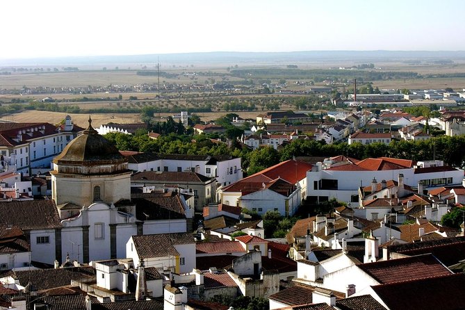 Évora and Monsaraz with Regional Wine Tasting from Lisbon - Key points to know before booking