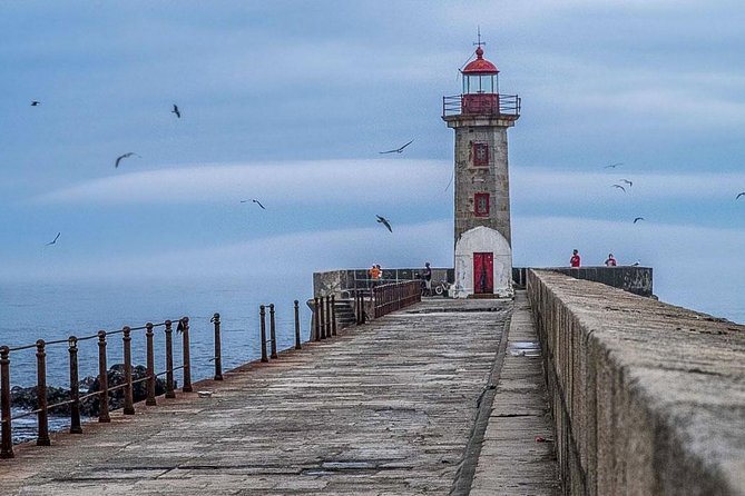 Experience Porto by Bike: 3-Hour Private Tour - Guides, group size, and the feel of the ride