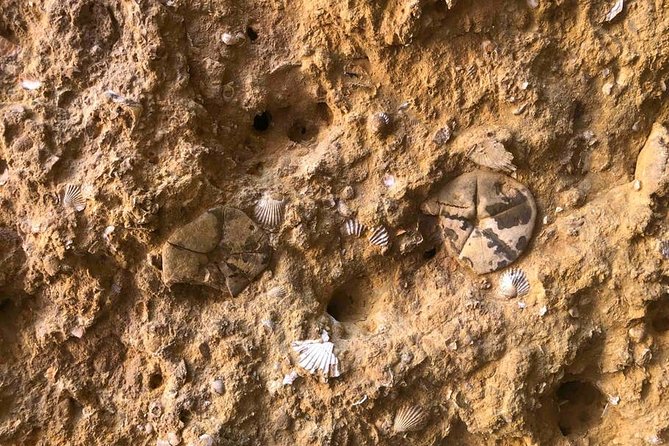 Explore Algarve Caves & Wild Beaches Kayak Tour - A guide-led lesson in Algarve geology and culture