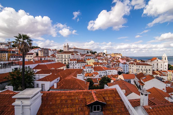 Explore Lisbon City on a private half-day tour in a van - Carmo Square and the earthquake that remade Lisbon