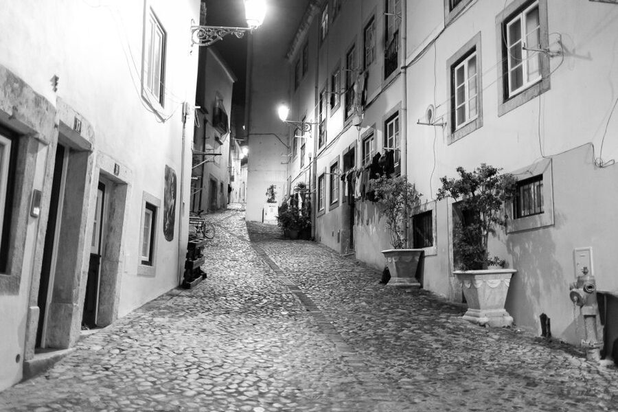 Fado: Musical Walking Tour with Food & Live Show - A modest meal in an Alfama fado house