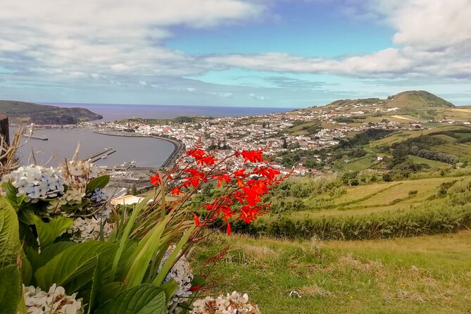 Faial Island: Half Day Tour - Porto do Comprido’s natural pools