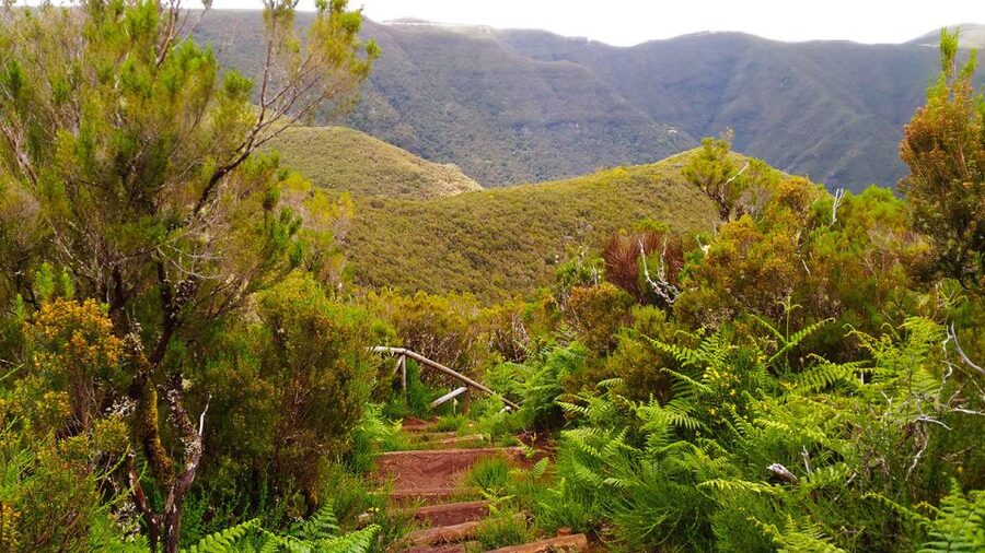 Fanal / Assobiadores - Levada Walk - Who should choose this walk?