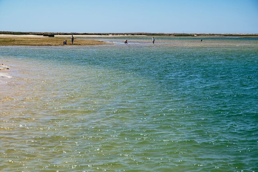 Faro: Deserta Island and Farol Island Catamaran Boat Trip - Should you book the Farol and Deserta catamaran trip?