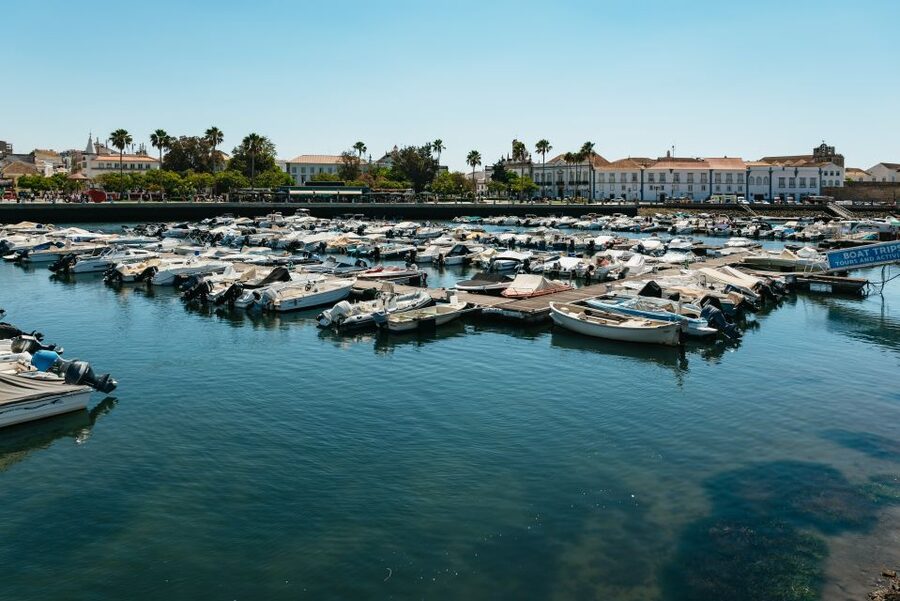 Faro: Deserta Island and Farol Island Catamaran Boat Trip - Farol Island gives you an hour to choose your own pace
