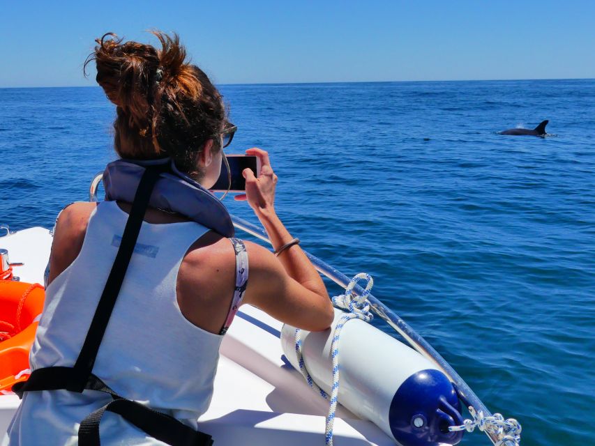 Faro: Dolphin and Wildlife Watching in the Atlantic Ocean - The 30-minute dolphin encounter