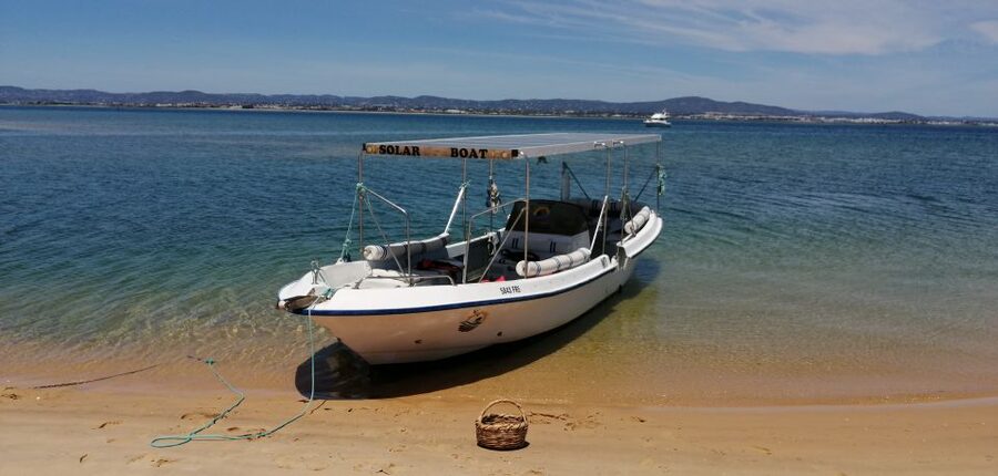 Faro: Eco-Friendly Ria Formosa Bird Watching in Solar Boat - What you might see along the route