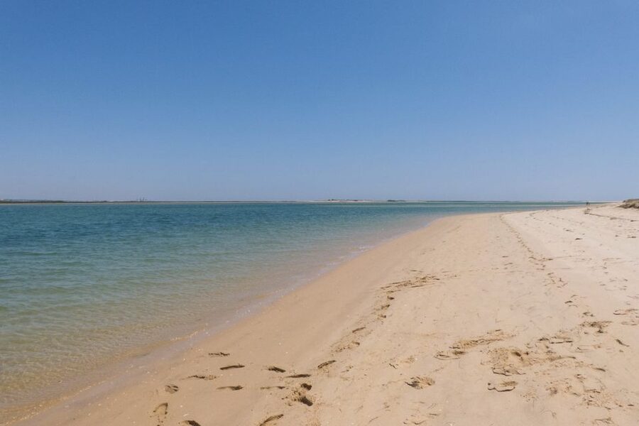 Faro: Kayak Hire in Ria Formosa Natural Park - Key points to know before you book