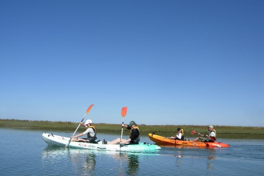 Faro: Kayak Hire in Ria Formosa Natural Park - Why the four-hour rental feels different