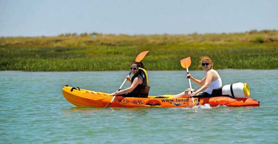 Faro: Kayak Hire in Ria Formosa Natural Park - Wildlife, water, and the feel of the Ria Formosa