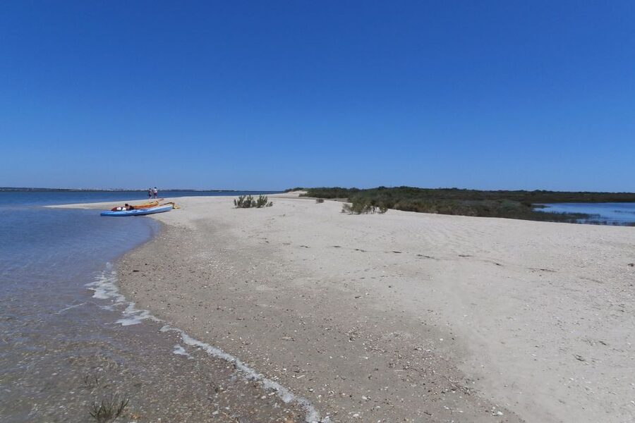 Faro: Kayak Hire in Ria Formosa Natural Park - What the safety briefing really means