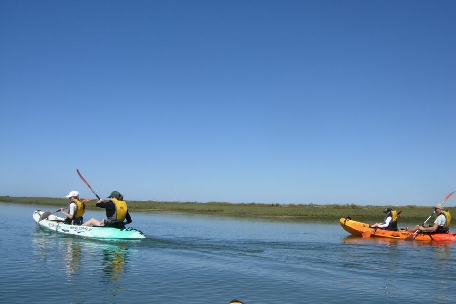 Faro: Kayak Hire in Ria Formosa Natural Park - Is $40 good value?