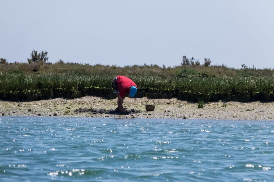 Faro: Kayak Hire in Ria Formosa Natural Park - Picking the right kayak for your group