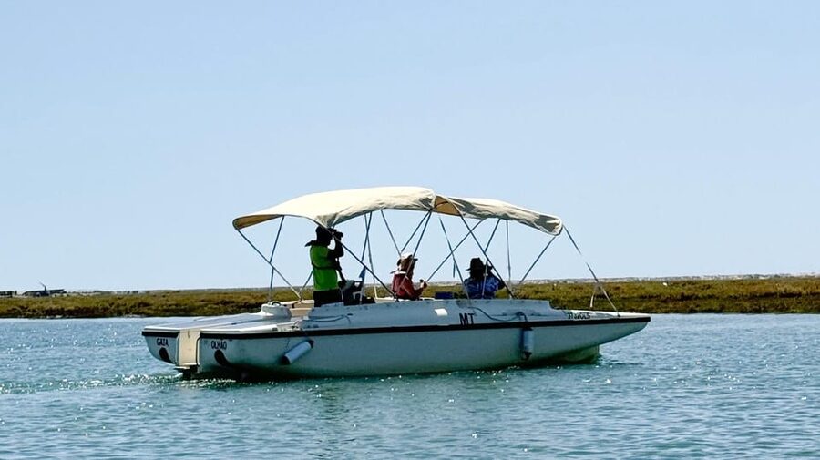 Faro: Ria Formosa Boat Tour by Eco-Friendly Solar Boat - Key points before you book