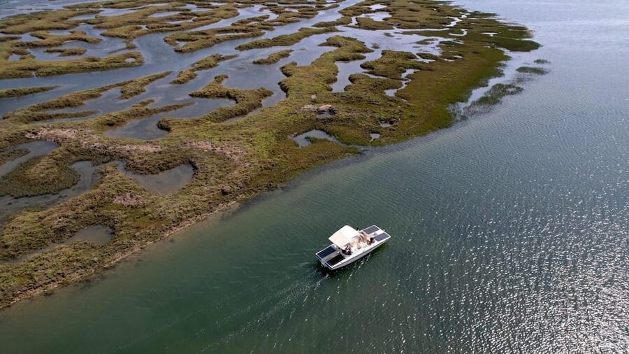 Faro: Ria Formosa Boat Tour by Eco-Friendly Solar Boat - Why the solar boat changes the experience