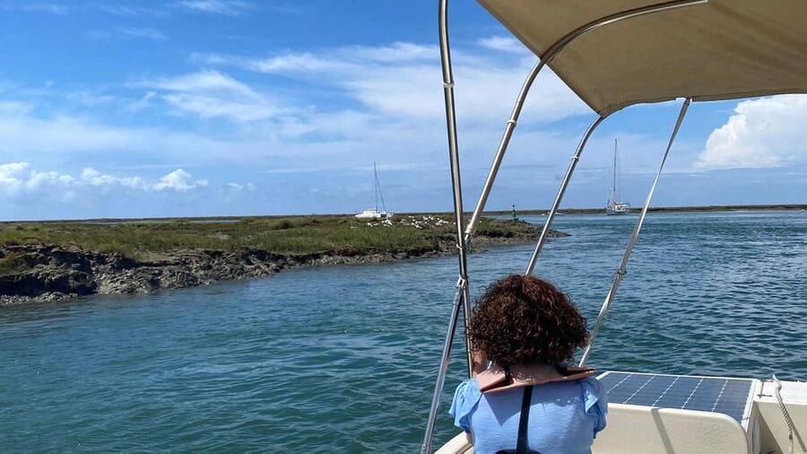 Faro: Ria Formosa Boat Tour by Eco-Friendly Solar Boat - Entering the protected Ria Formosa marshes