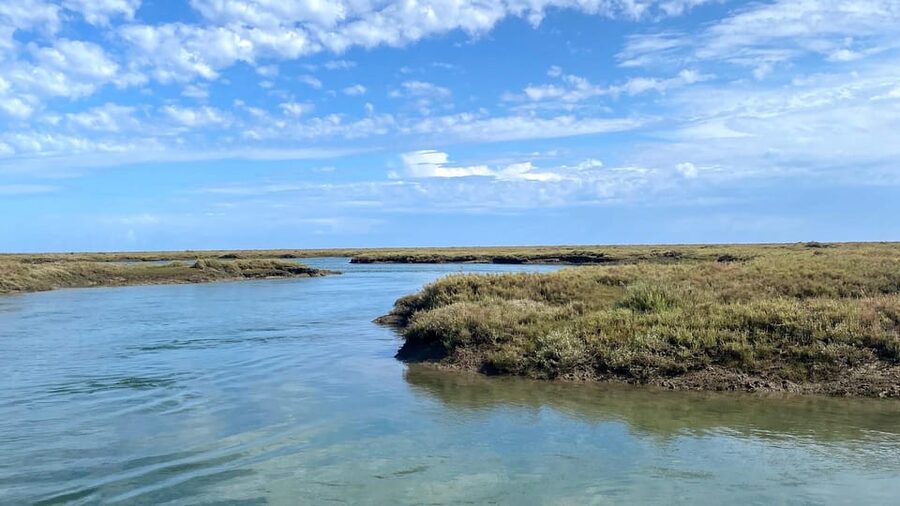 Faro: Ria Formosa Boat Tour by Eco-Friendly Solar Boat - One hour on the water, and what that really means