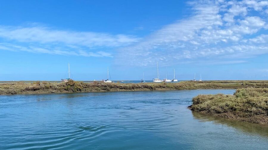 Faro: Ria Formosa Boat Tour by Eco-Friendly Solar Boat - What you might see in different seasons