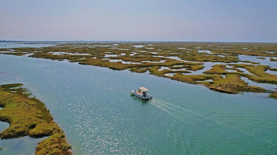 Faro: Ria Formosa Boat Tour by Eco-Friendly Solar Boat - Leaving from Cais das Portas do Mar
