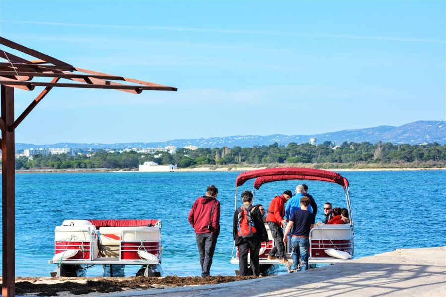 Faro: Ria Formosa Faro Islands Boat Tour - Swimming, walking, and sunset choices