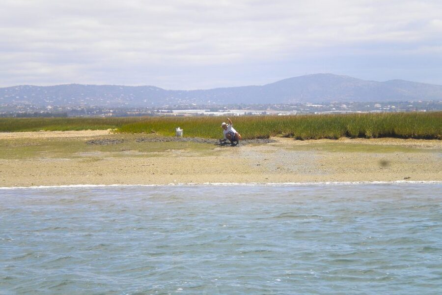 Faro: Ria Formosa Lagoon Small Boat Tour with Local Guide - Who should book this experience?