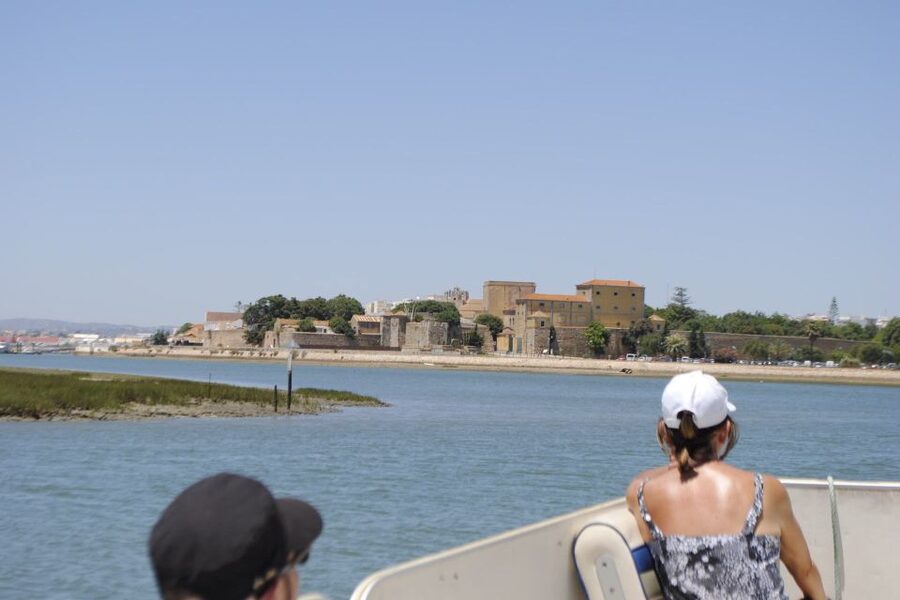 Faro: Ria Formosa Lagoon Small Boat Tour with Local Guide - What this Faro boat tour actually gives you