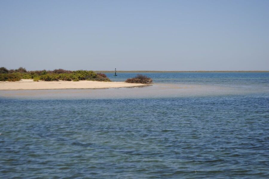 Faro: Ria Formosa Lagoon Small Boat Tour with Local Guide - The Ria Formosa’s birds, marshes, and channels